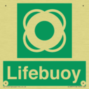 lifebuoy-with-symbol~
